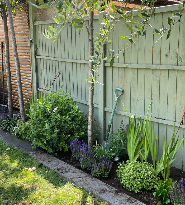 Work in progress in the Renewal Garden, Maidenhead, showing freshly planted perennials and restored soil after garden renovation.