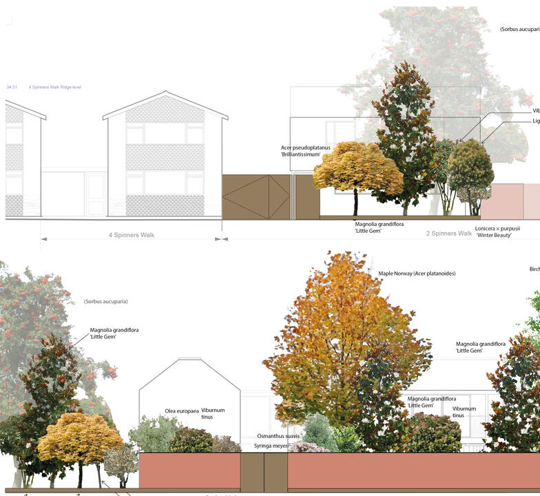 Tree Planting scheme