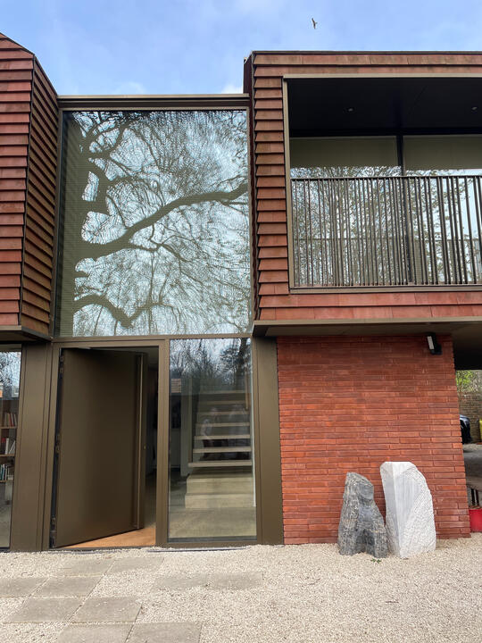 The shading tree on the entrance