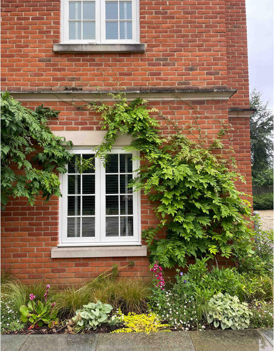 Sunlit planting bed with wisteria, grasses, and perennials against a brick wall in the Woodland Garden, Eton, showcasing seasonal interest and sustainable planting.