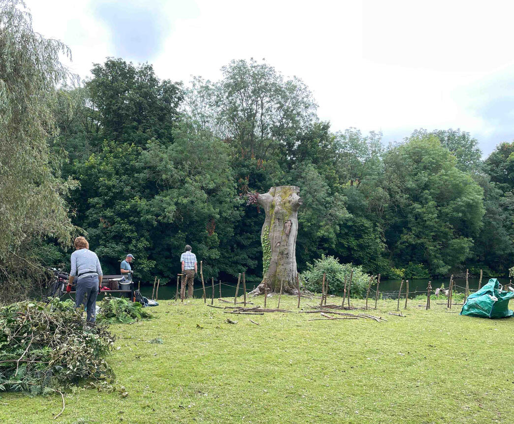 Early stages of the habitat restoration project, with branches collected on site for reuse. Volunteers preparing branches and natural materials to construct the dead hedge during the Copper Beech Haven restoration.