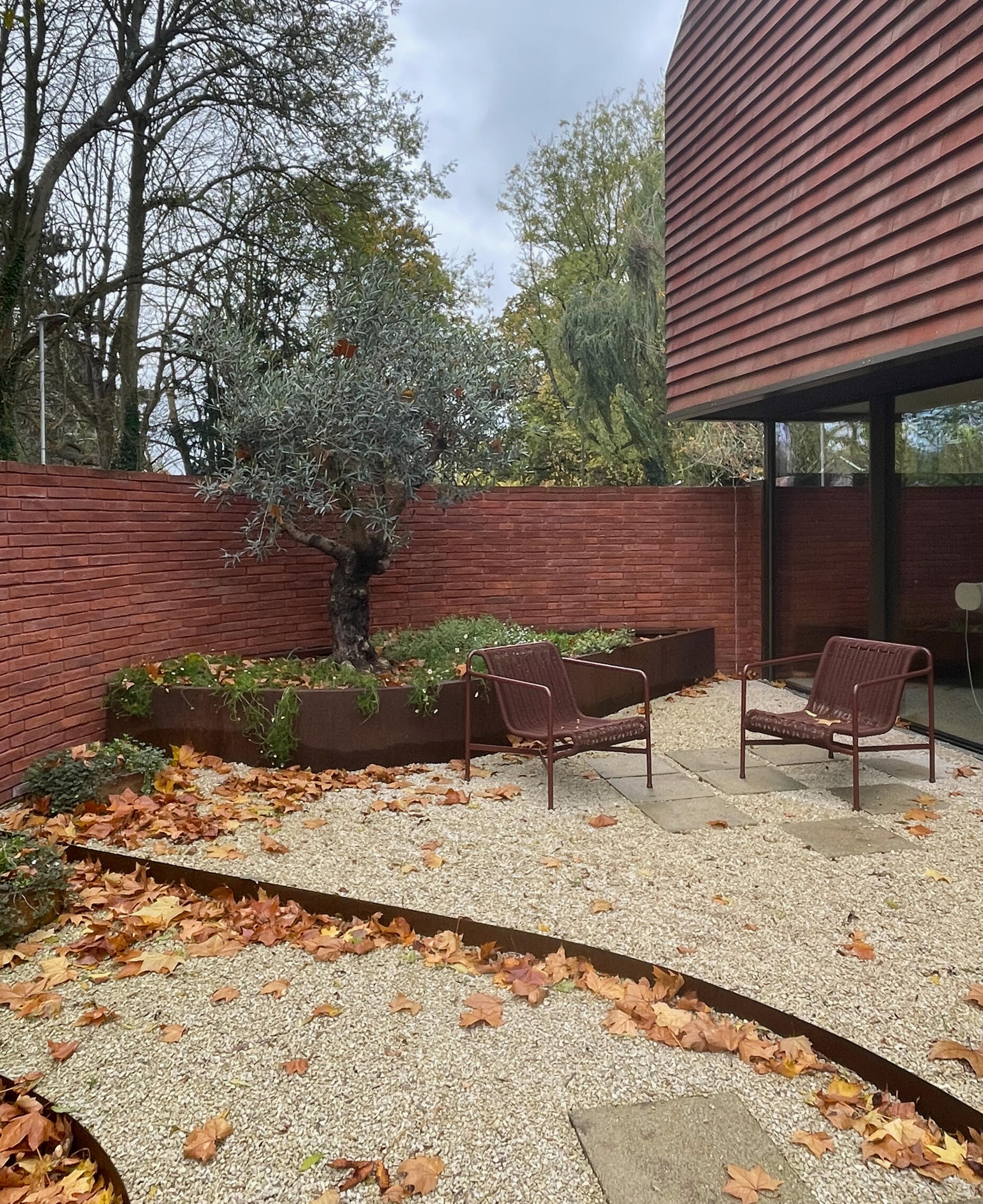 Contemporary courtyard planting with olive tree and corten planters Contemporary courtyard planting scheme with olive tree, corten steel planters and structured gravel terrace in a planting-led landscape design project.