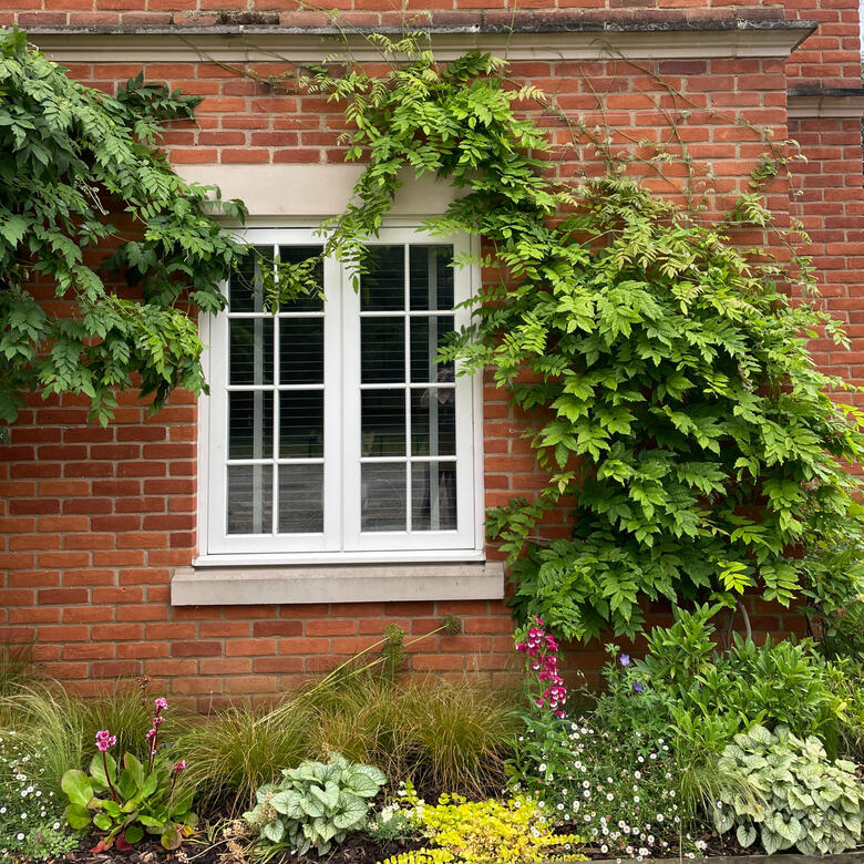 A woodland garden, Eton