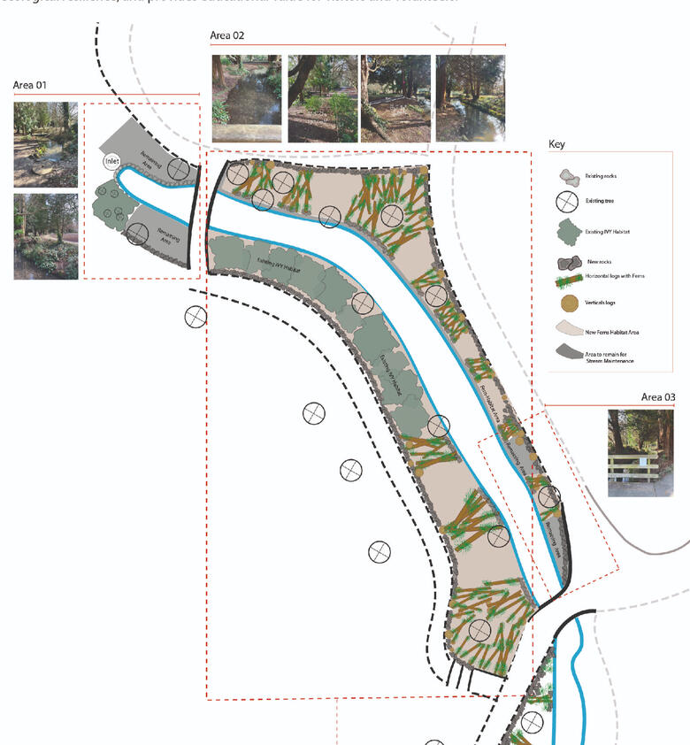 Fern Pocket Habitat, Ray Mill Island, Maidenhead Habitat-led stream bank masterplan showing phased fern pocket interventions designed to enhance biodiversity and stabilise the woodland edge at Ray Mill Island.