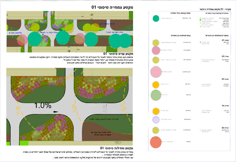 Fern Pocket Habitat, Ray Mill Island, Maidenhead Habitat-led stream bank masterplan showing phased fern pocket interventions designed to enhance biodiversity and stabilise the woodland edge at Ray Mill Island.